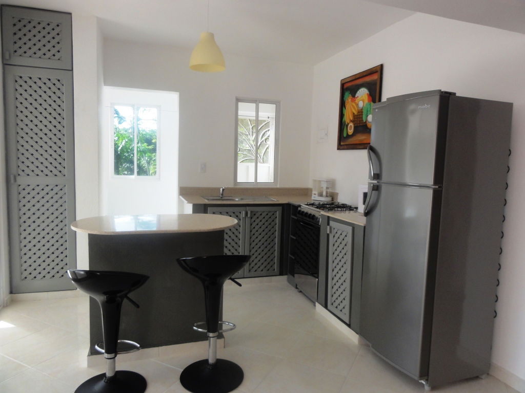 Estudio Independiente Las Terrenas 26787