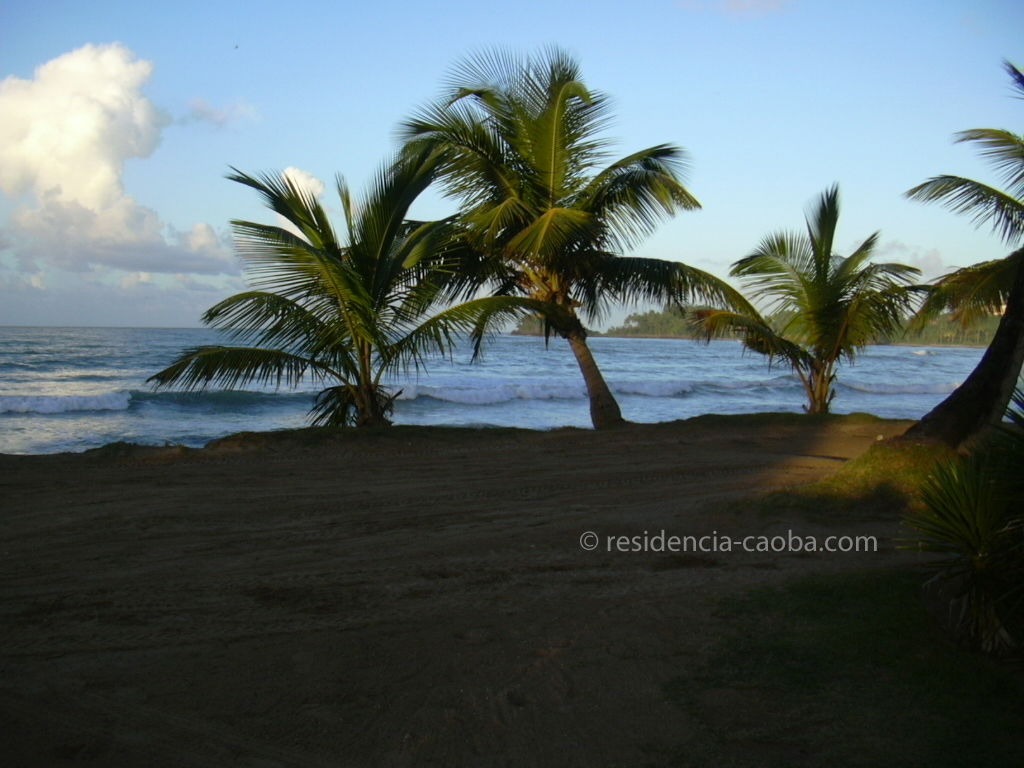 Estudio Independiente Las Terrenas 26787