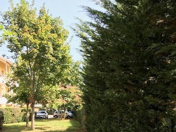 Roomlala | Apartamento de 1 quarto em Toulouse com jardim compartilhado