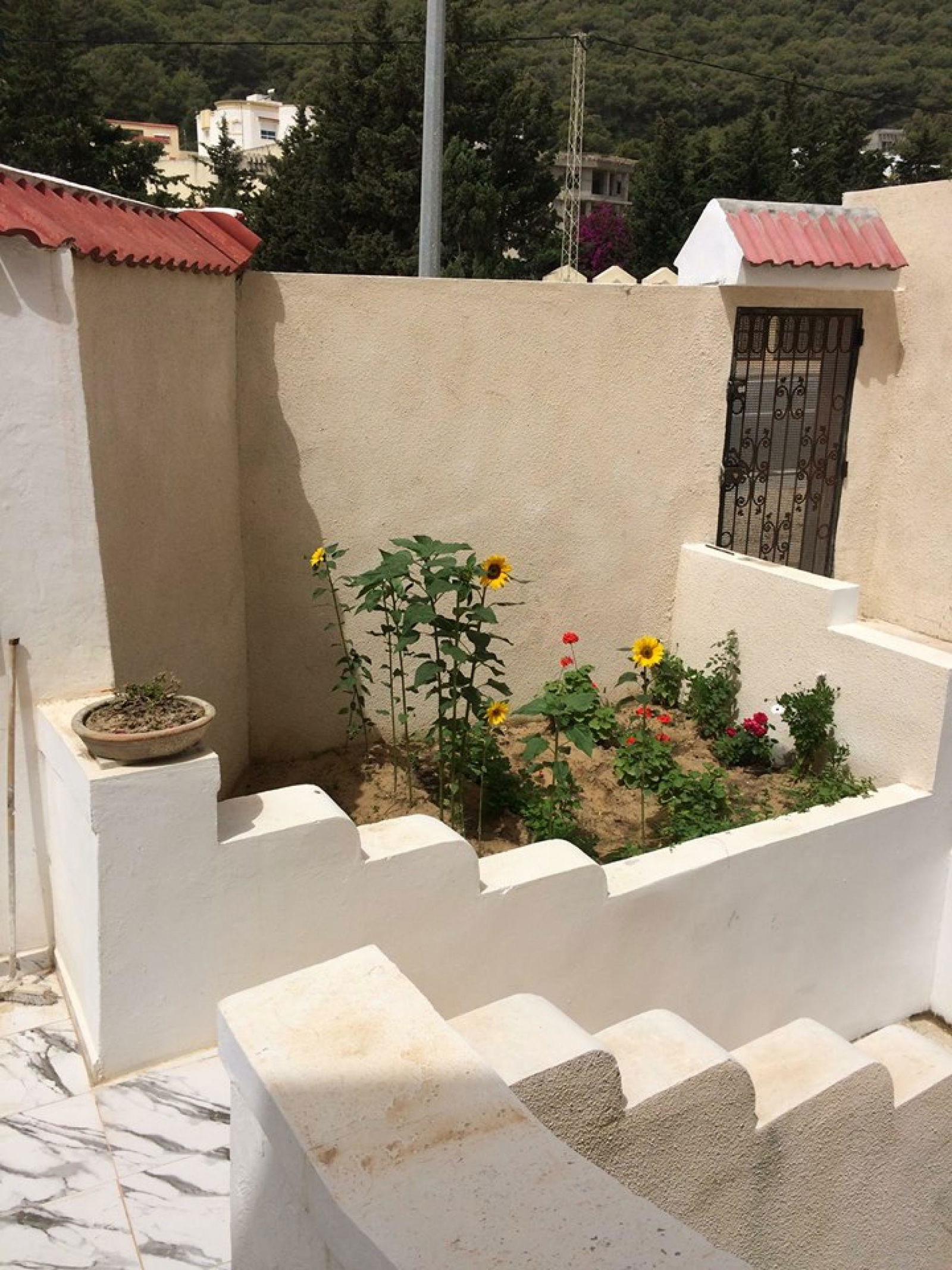 Estudio Independiente Bizerte 166033