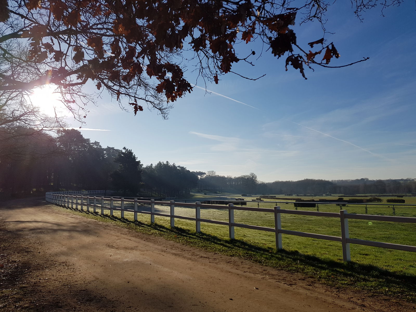 Estudio Independiente Angers 225283