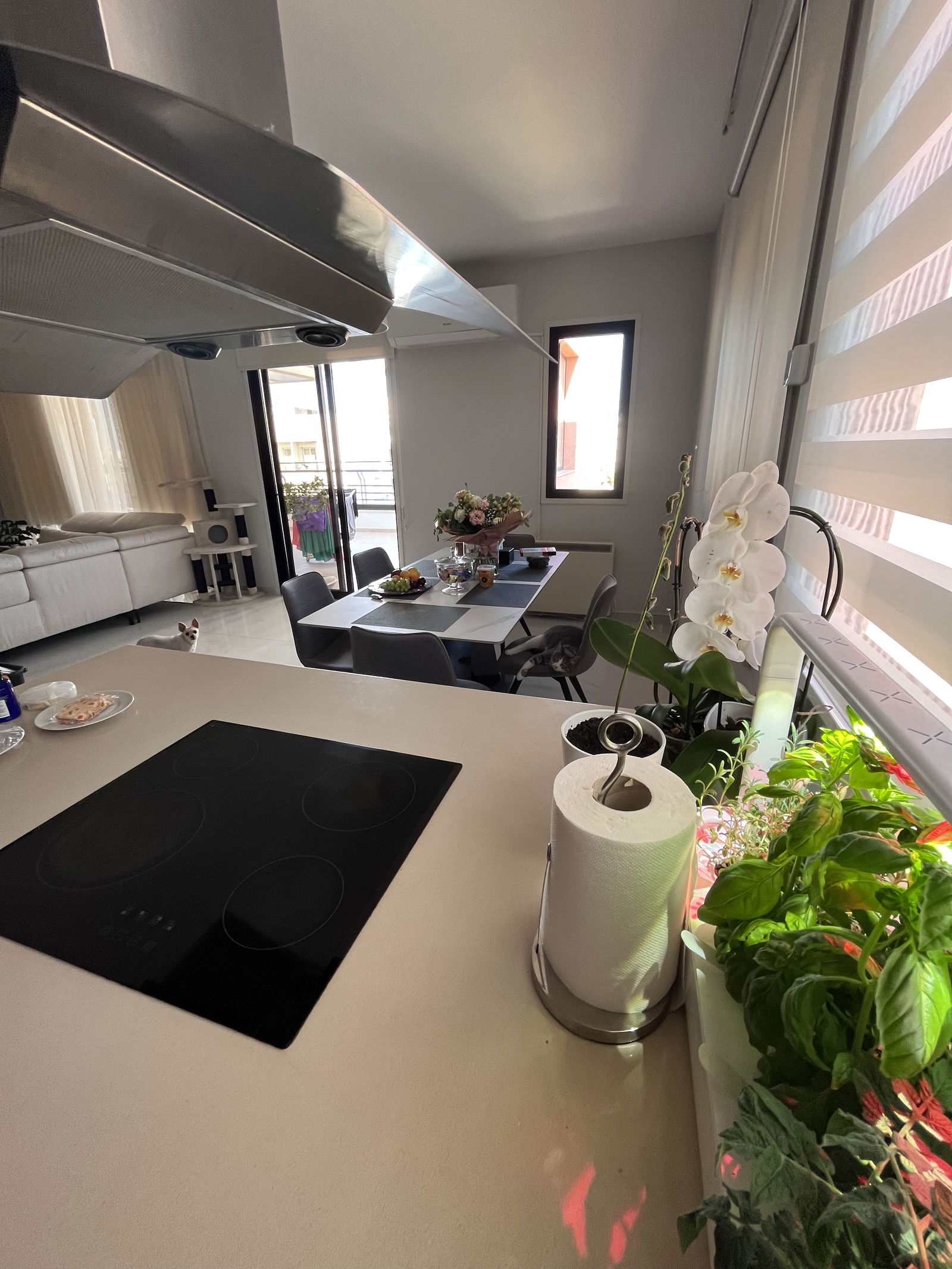 Hospedagem Em Casa De Família Larnaka 412989