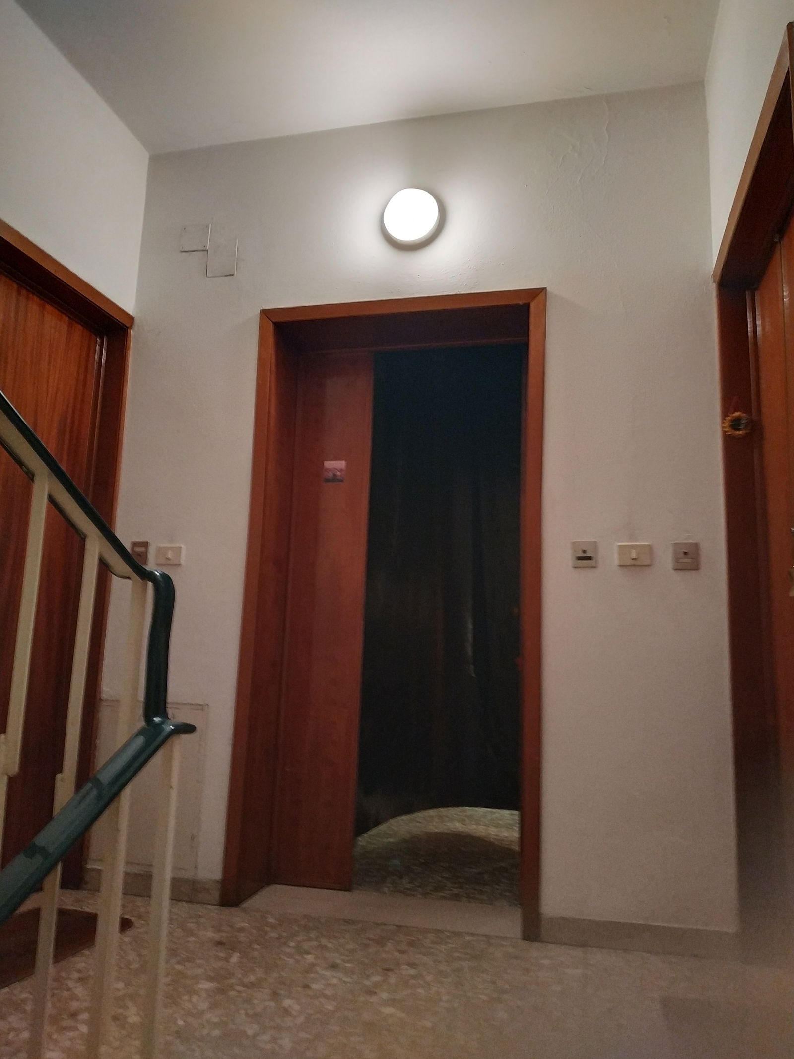 Quedarse En Casa Arezzo 222683