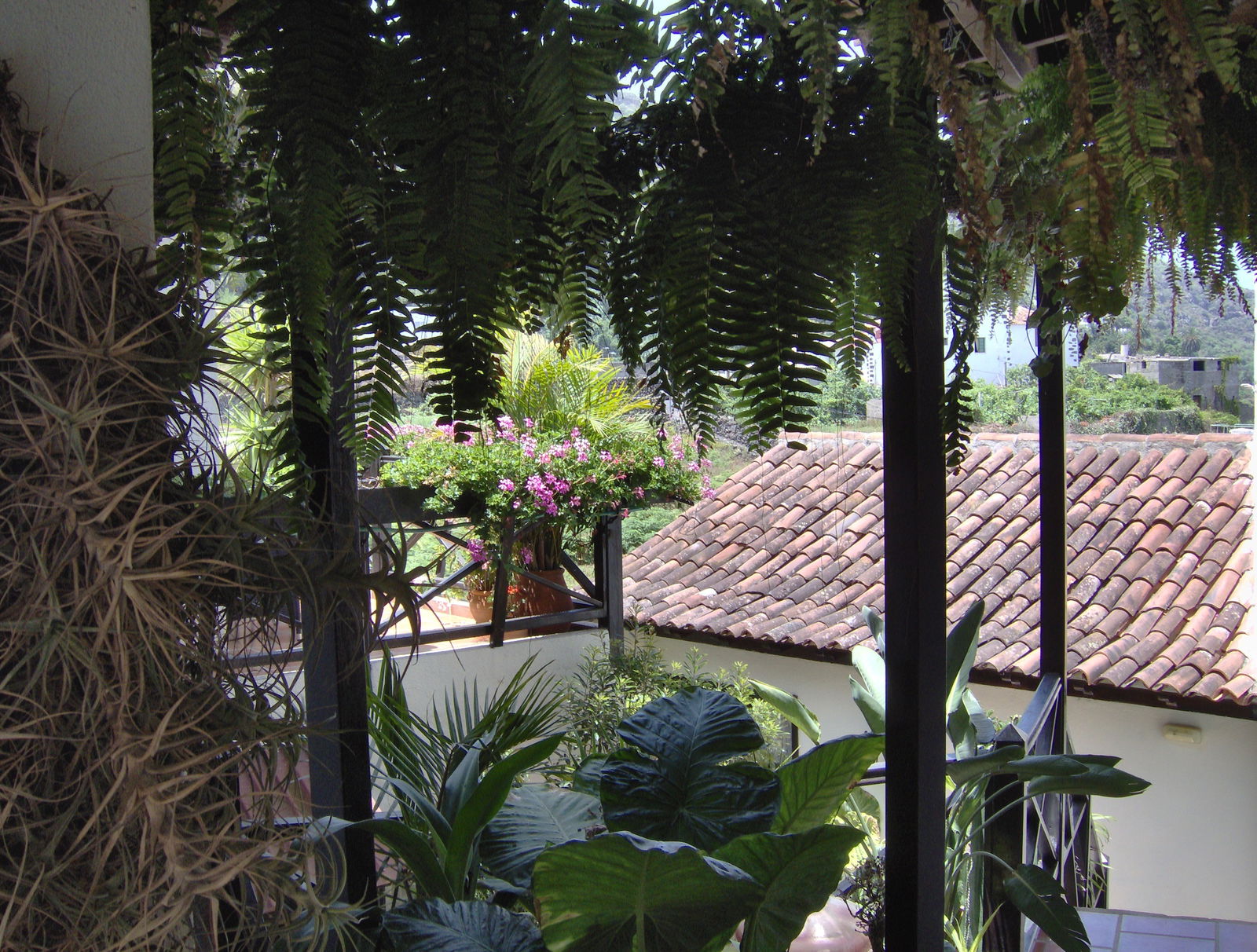 Estúdio Independente Icod de los Vinos 242927