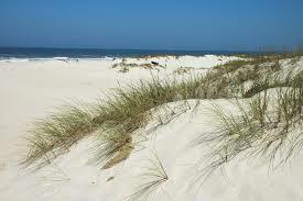 Estúdio Independente Esmoriz 102979