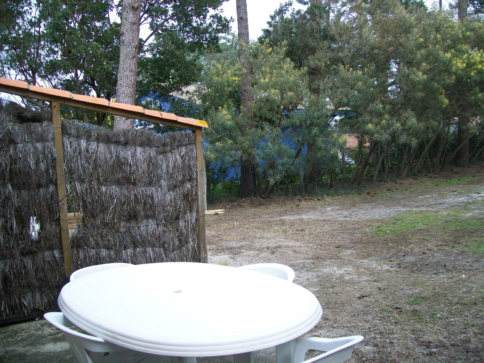 Estudio Independiente Lacanau 66486