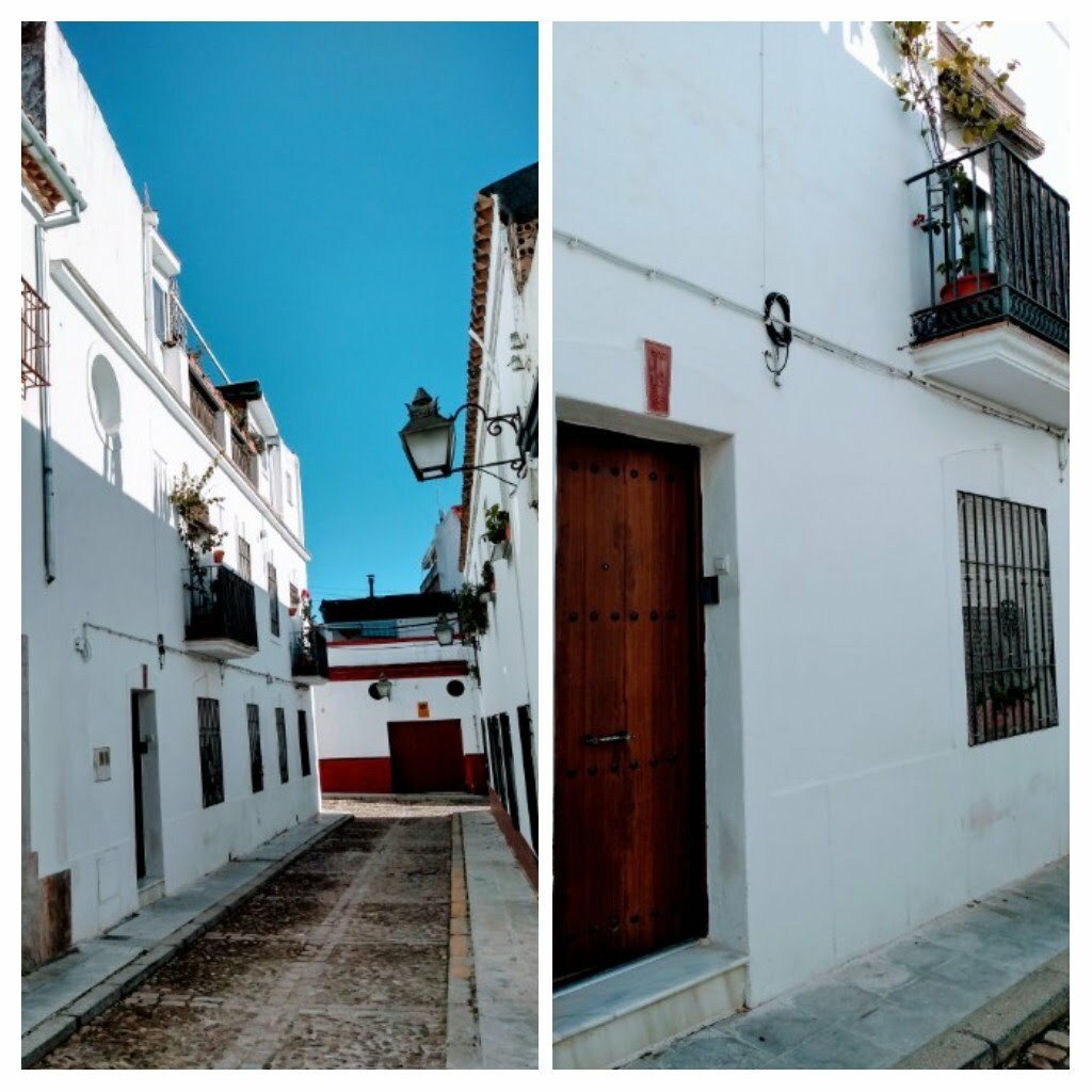 Estudio Independiente Córdoba 17947