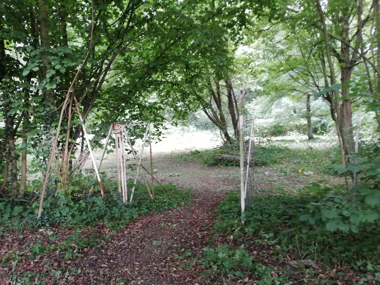 Estudio Independiente Charleroi 227494