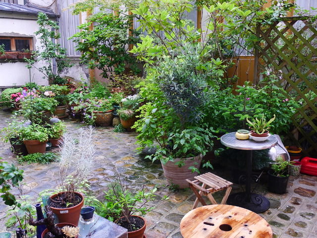 Estudio Independiente Paris 27303