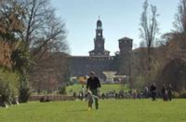 Estudio Independiente Milano 36306