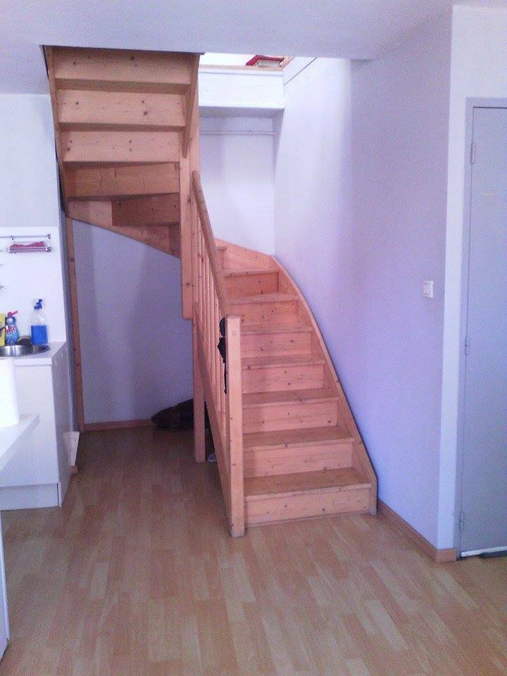 Colocación Saint-Étienne 122827