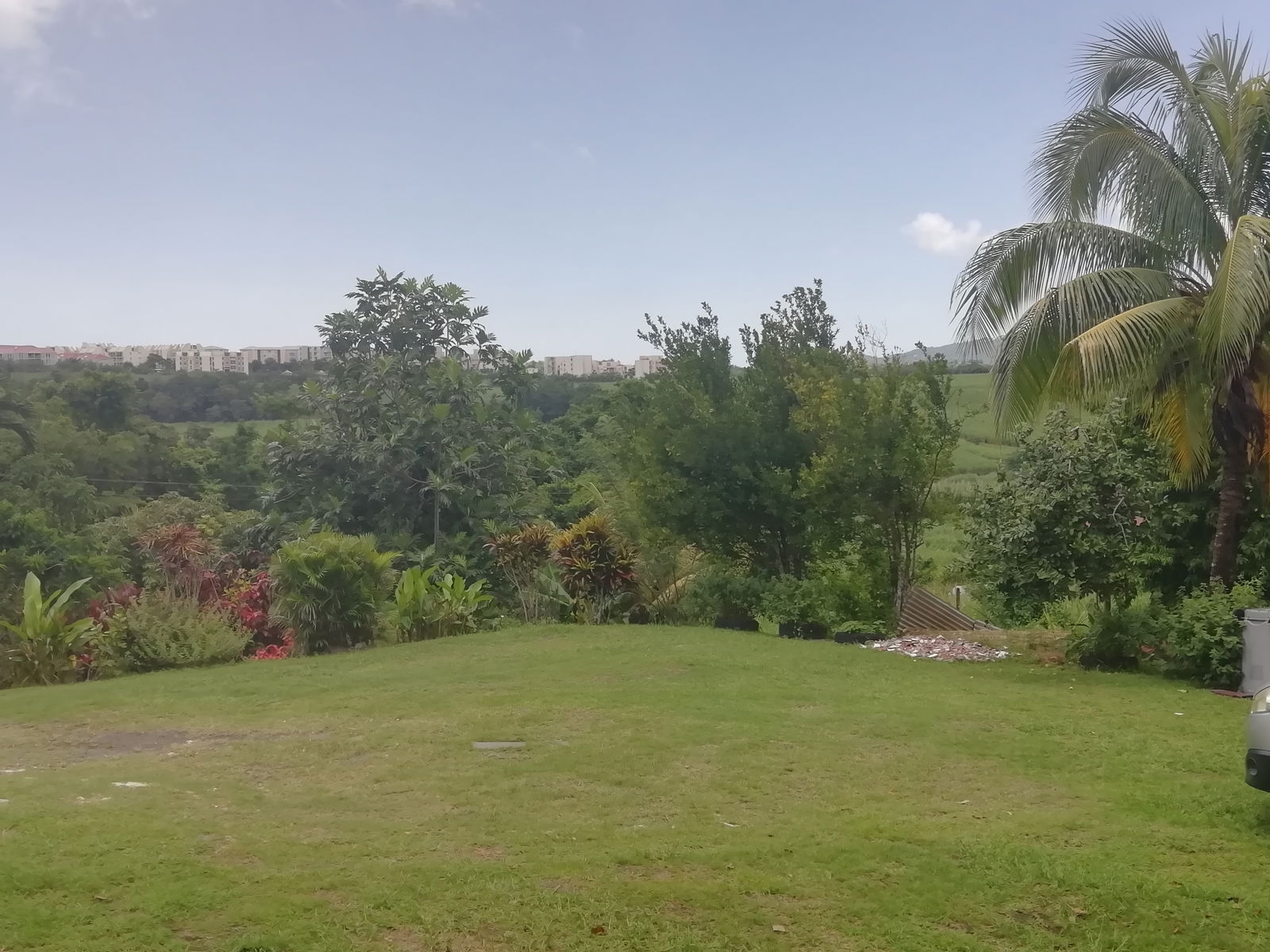Estudio Independiente Rivière-Salée 229871