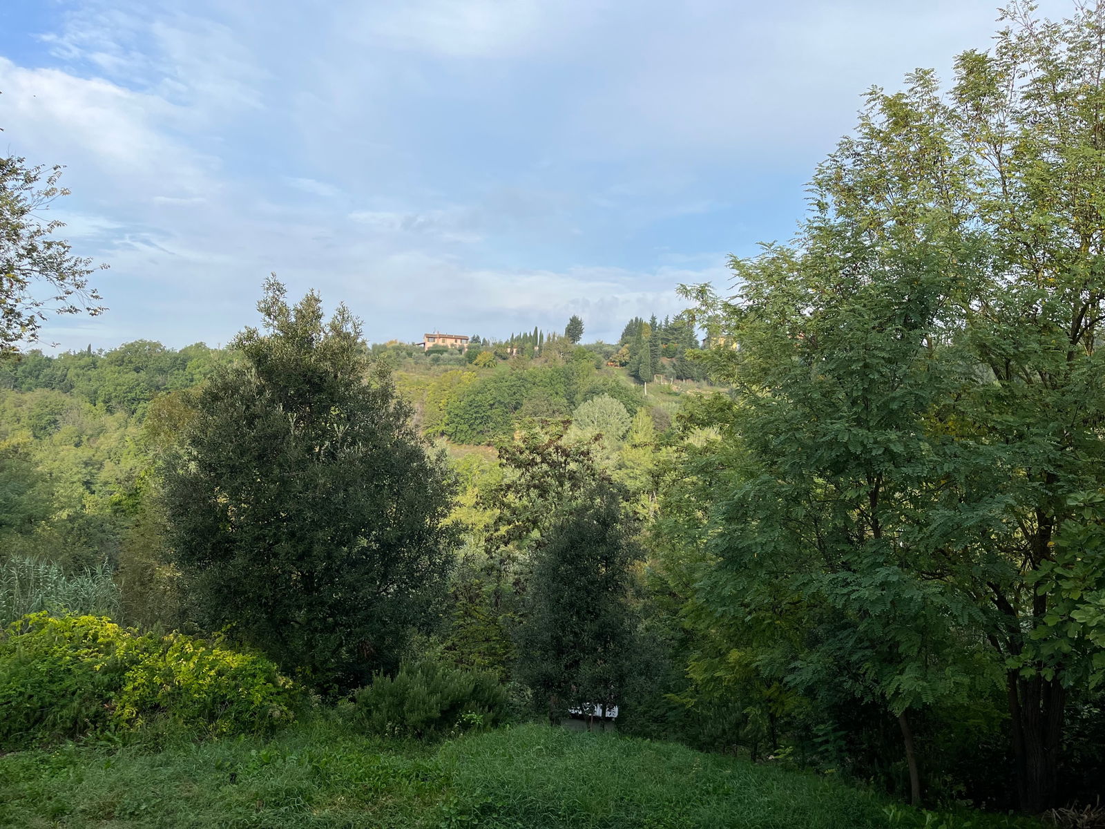 Estudio Independiente Provincia di Pisa 264103