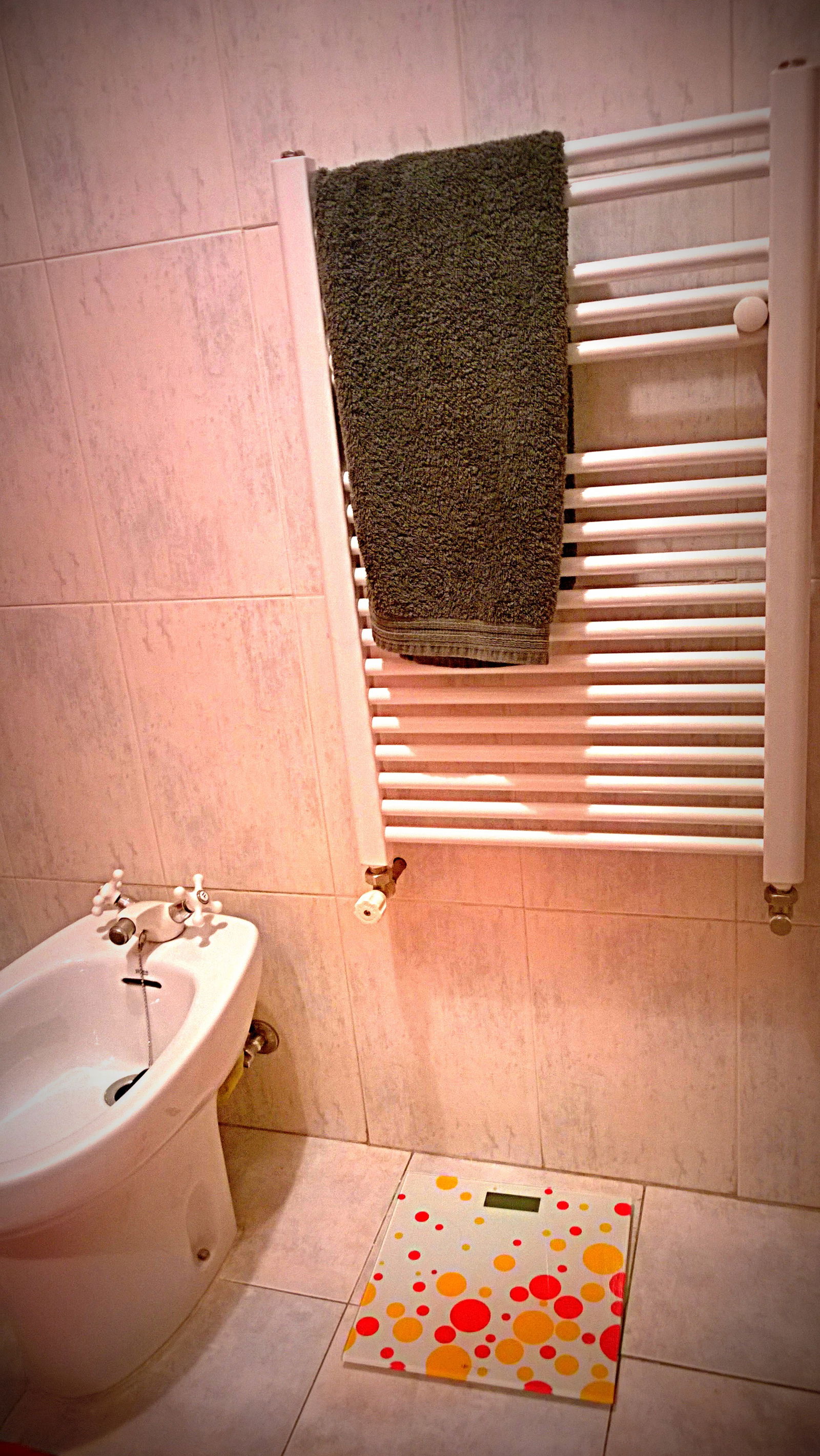 Estudio Independiente M 87539