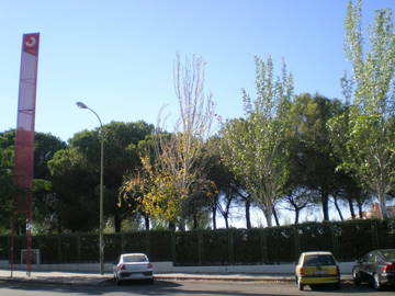 Logement Entier M 87539-12