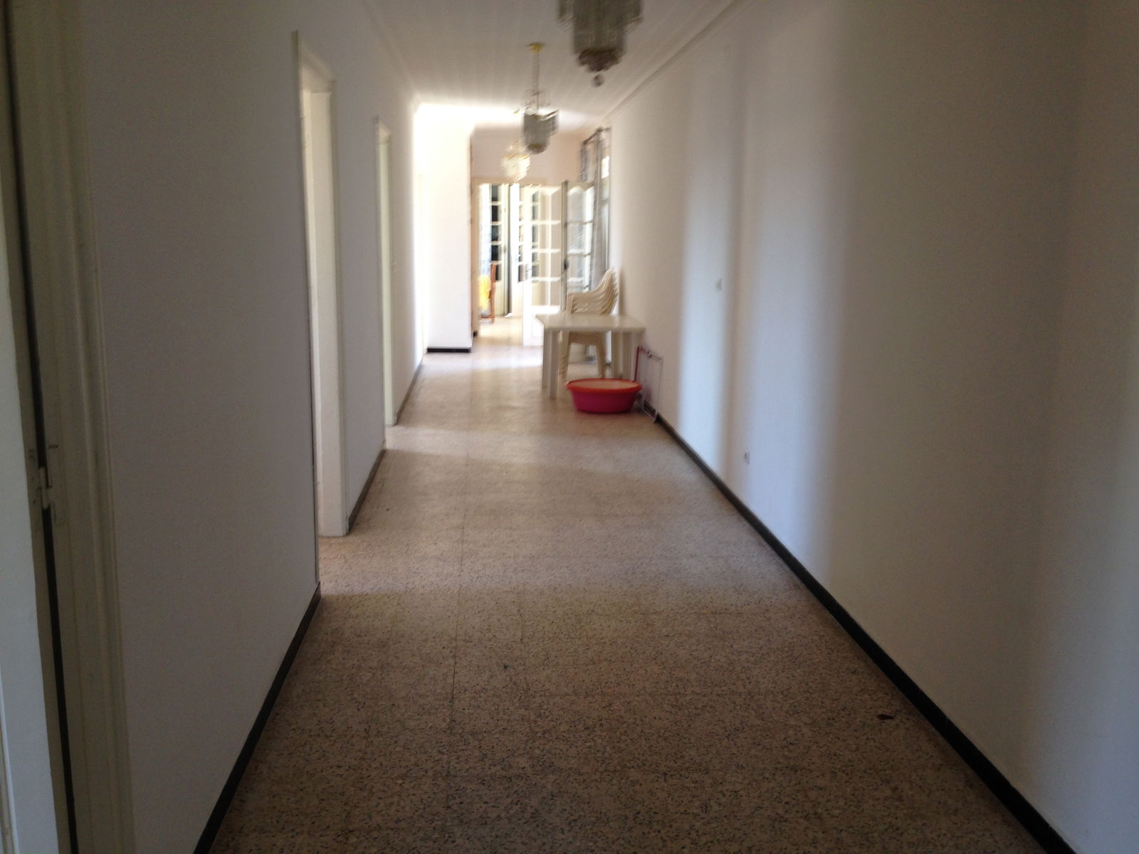 Estudio Independiente Nedroma 132809