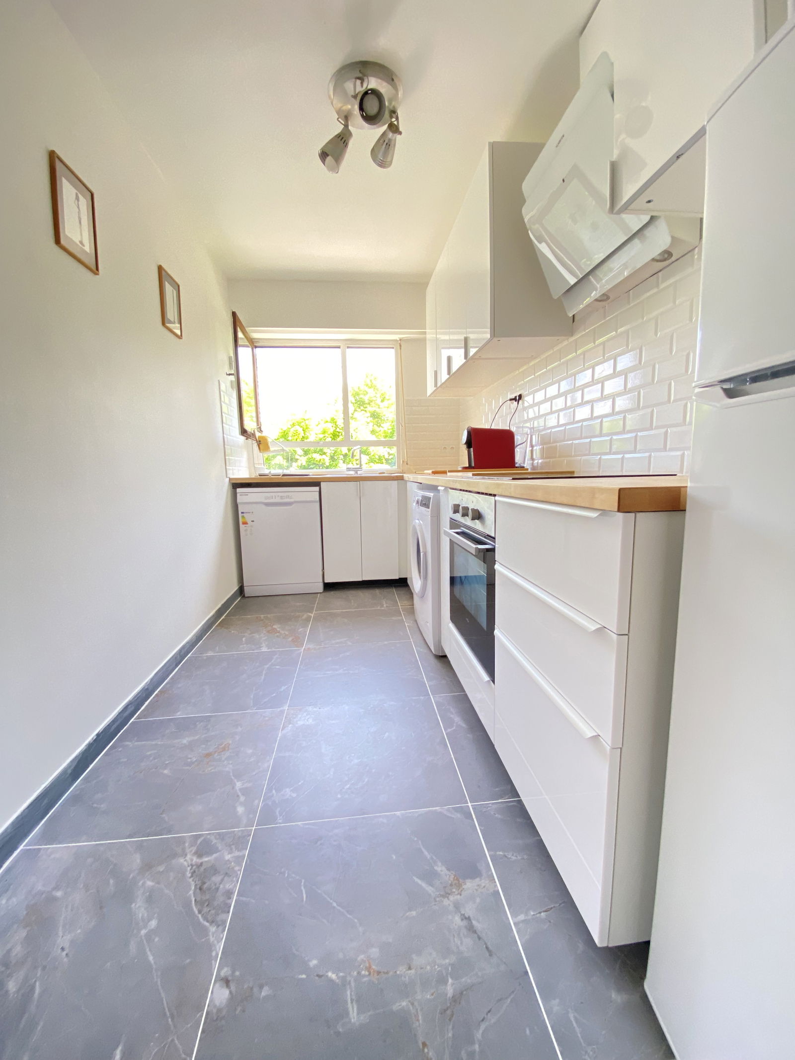 Estudio Independiente Orsay 267325