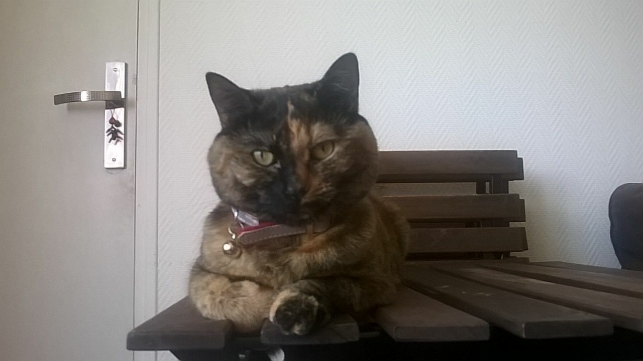 Colocação Nantes 173757