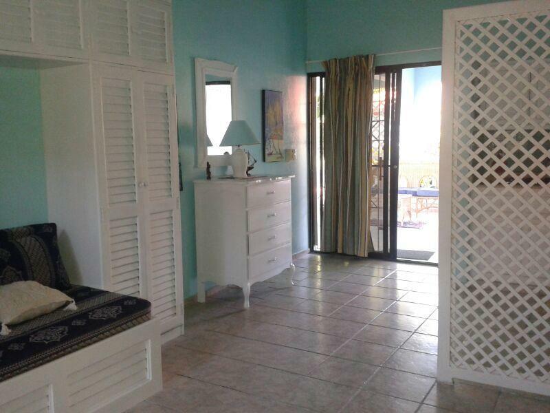 Estudio Independiente Dominicus 81523