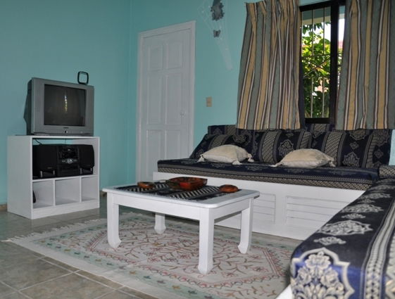 Estudio Independiente Dominicus 81523