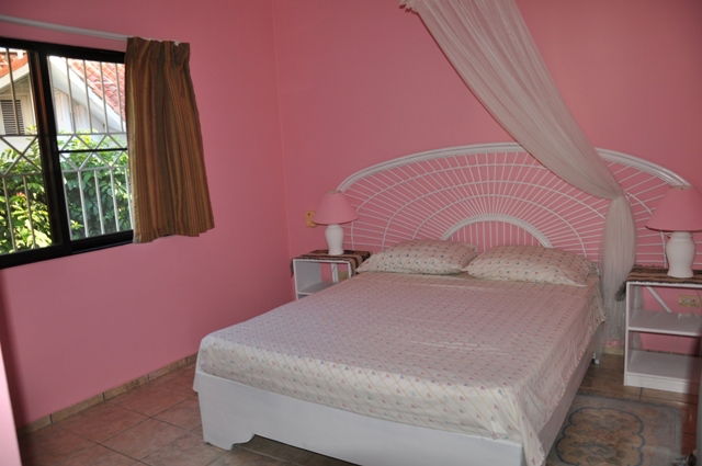 Estudio Independiente Dominicus 81523