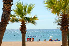 Estudio Independiente Garnerans 155522