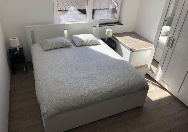 Estudio Independiente Tournai 244015