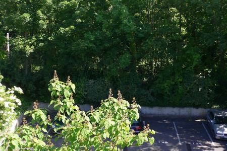 Estudio Independiente Rouen 256412