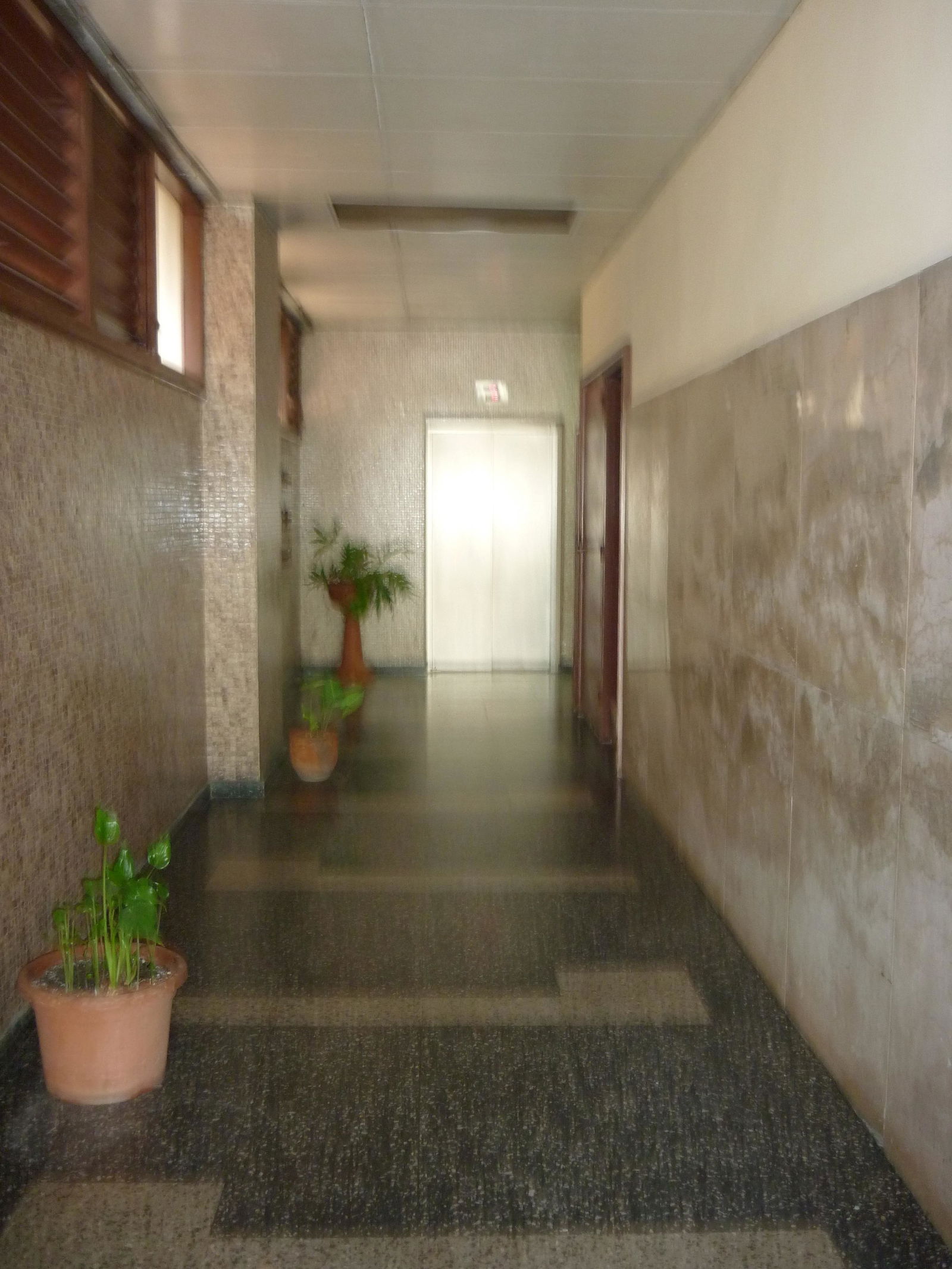 Estudio Independiente La Habana 114237