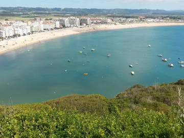 Homestay São Martinho Do Porto 151694-4