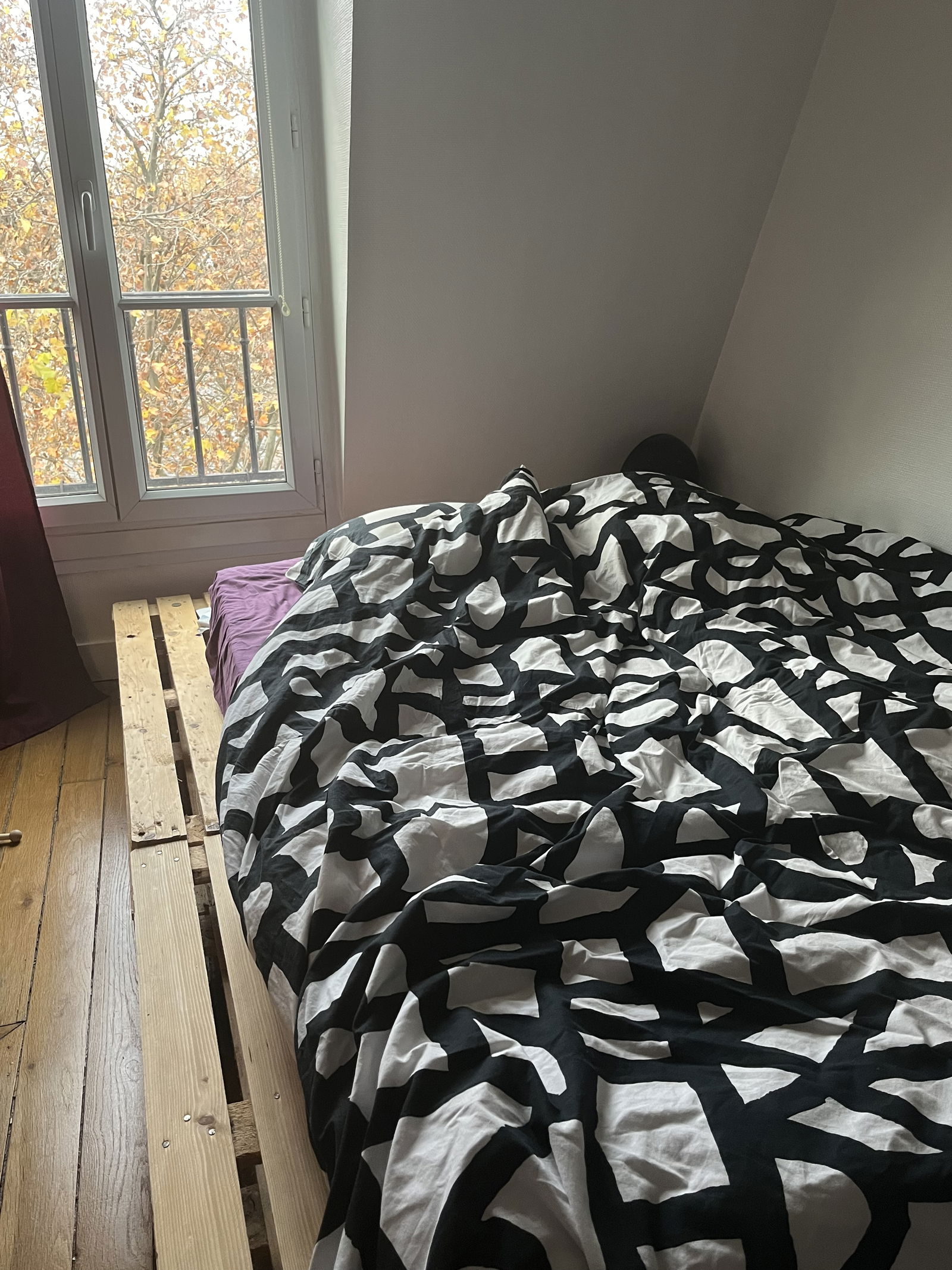 Quedarse En Casa Paris 263407