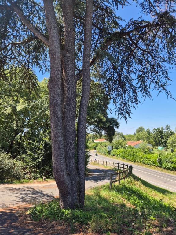 Toda La Casa Basse-Goulaine 661415