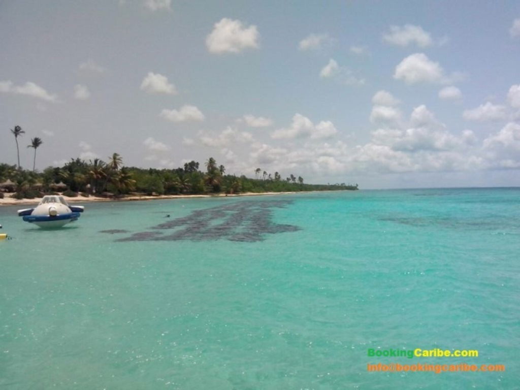 Estudio Independiente Dominicus 114453