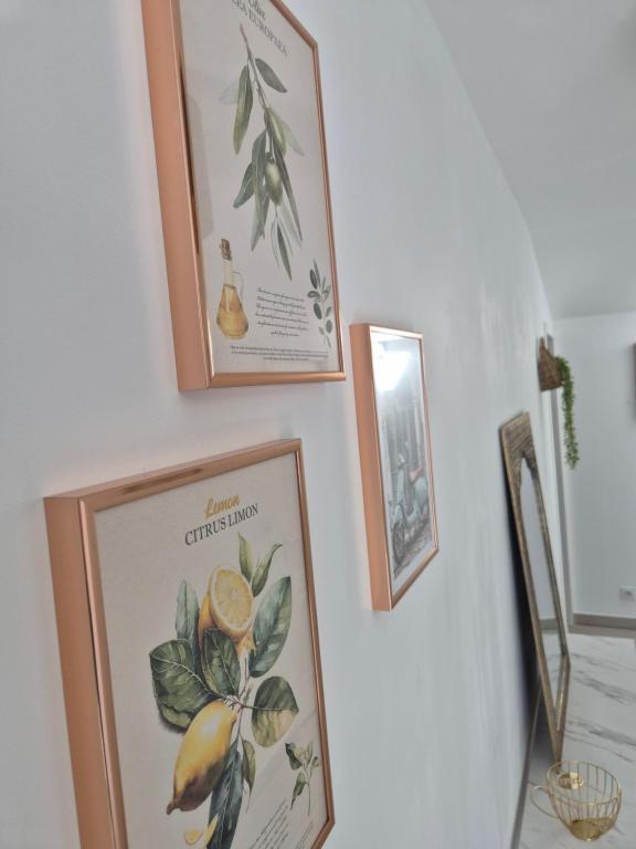 Casa Inteira Basse-Goulaine 661415