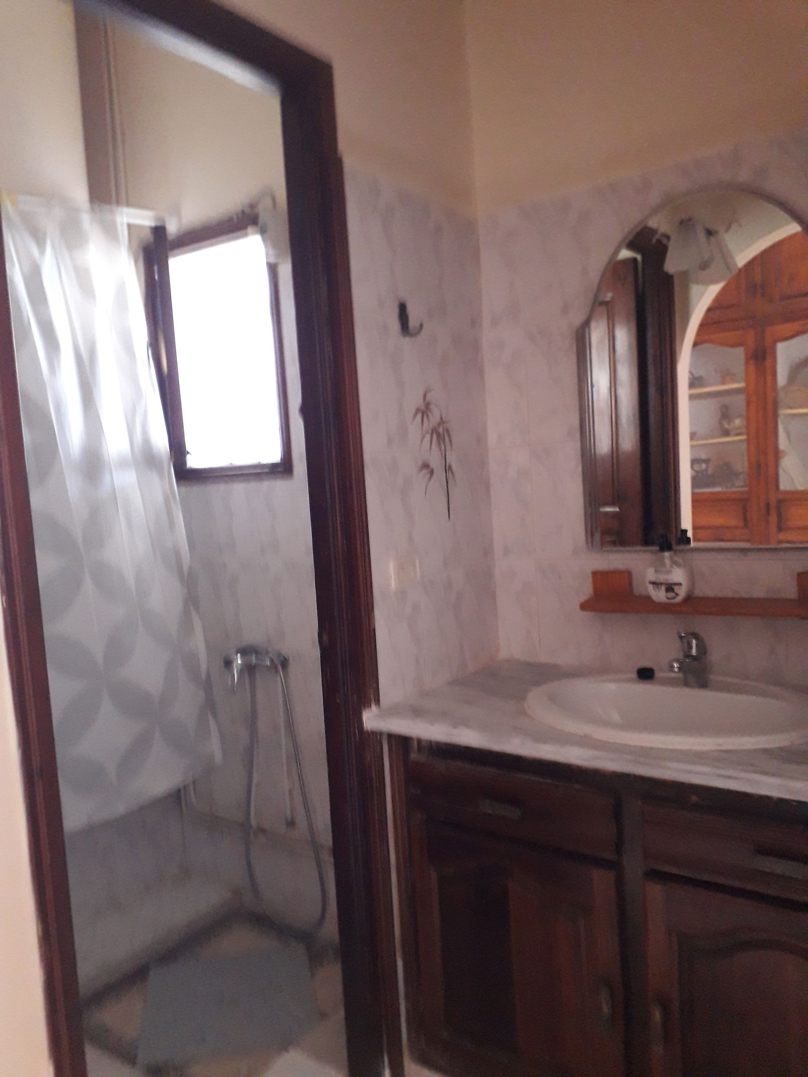 Estudio Independiente Sfax 236171