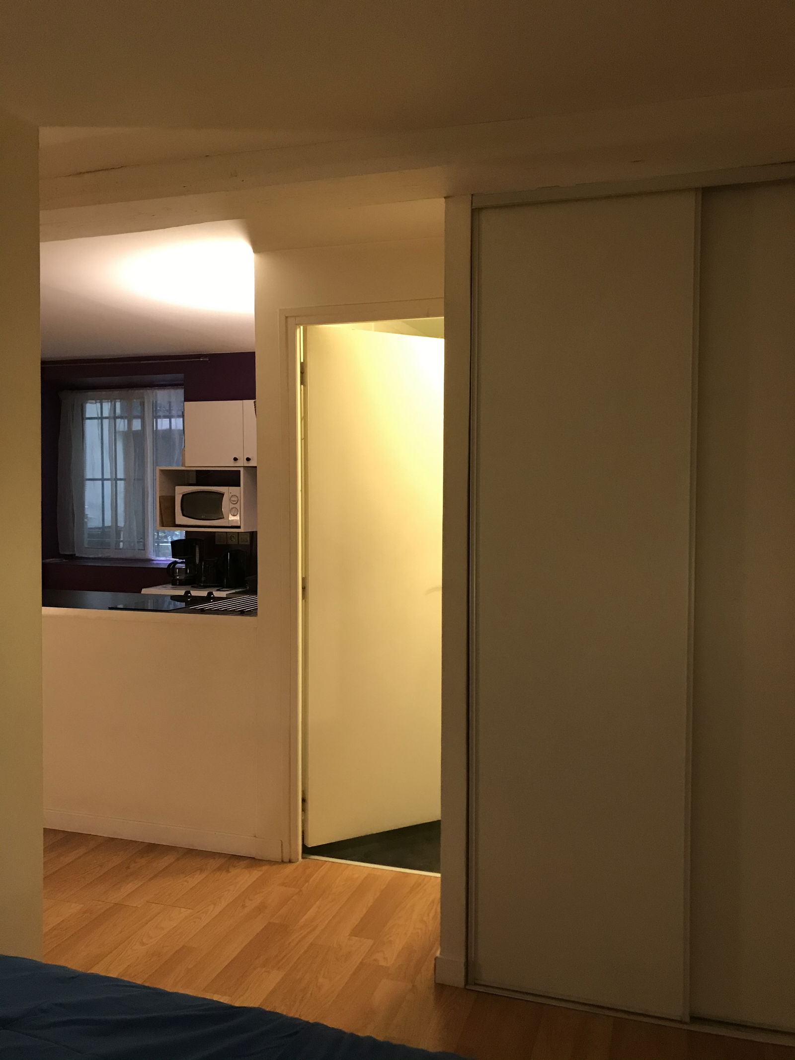 Estudio Independiente Lyon 237335