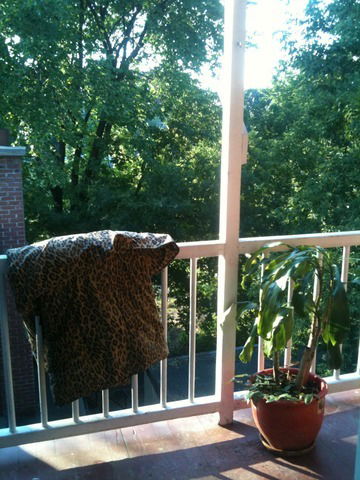 Colocação Montréal 31471