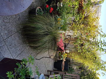 Roomlala | Apartamento Terraço