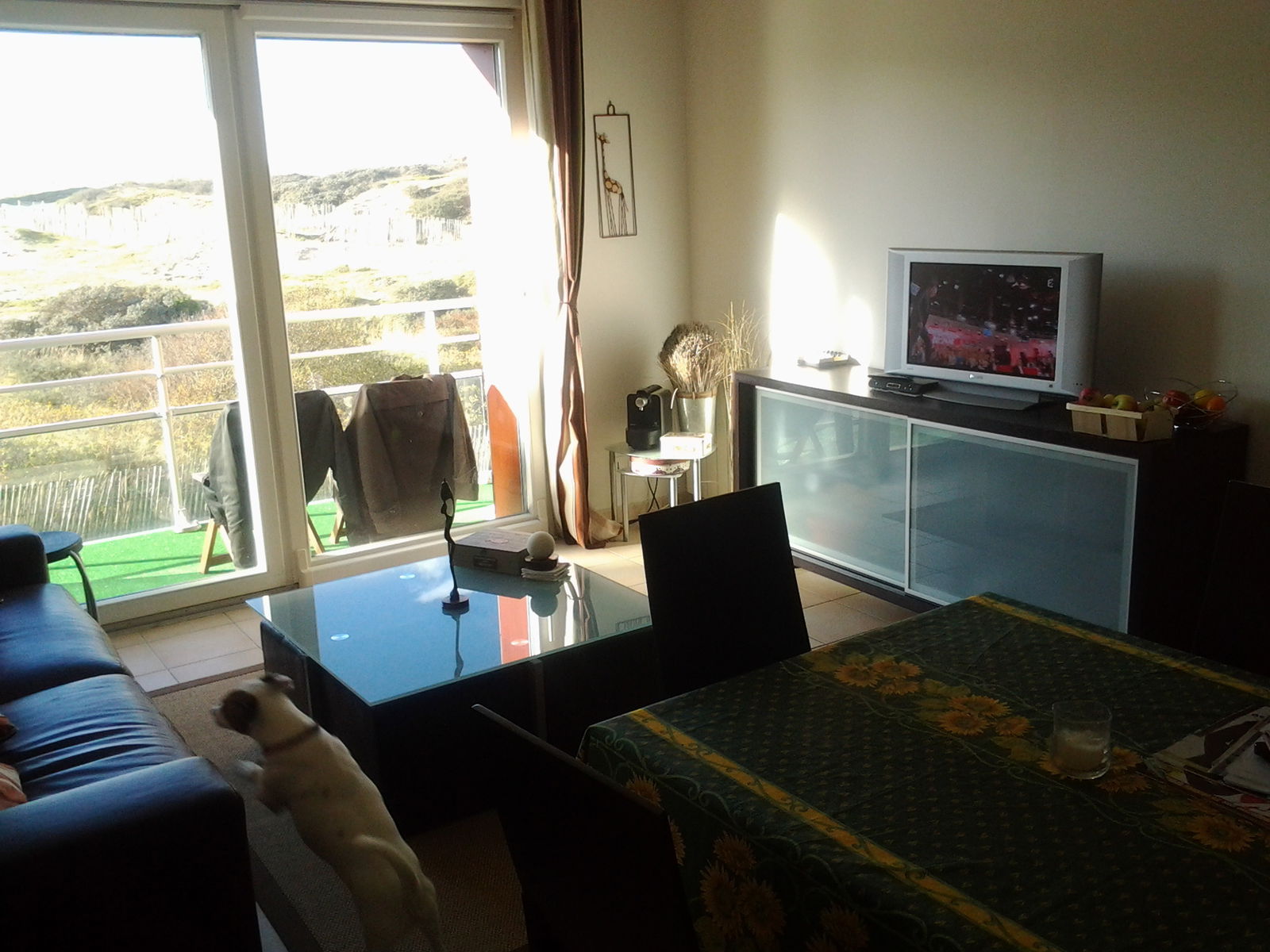 Estudio Independiente Berck 64855