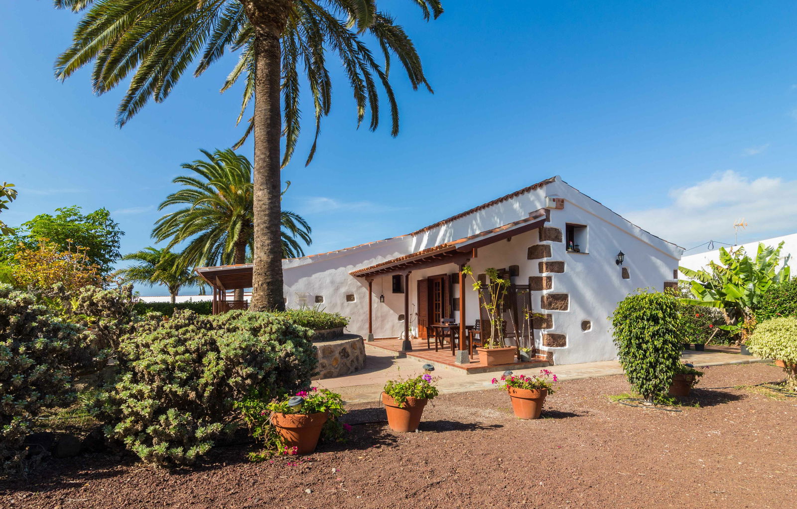 Estudio Independiente San Cristóbal de La Laguna 133561