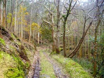 Logement Entier Tapia De Casariego 39740-12