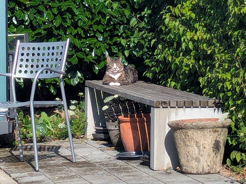 Coliving Nyon 559118-1