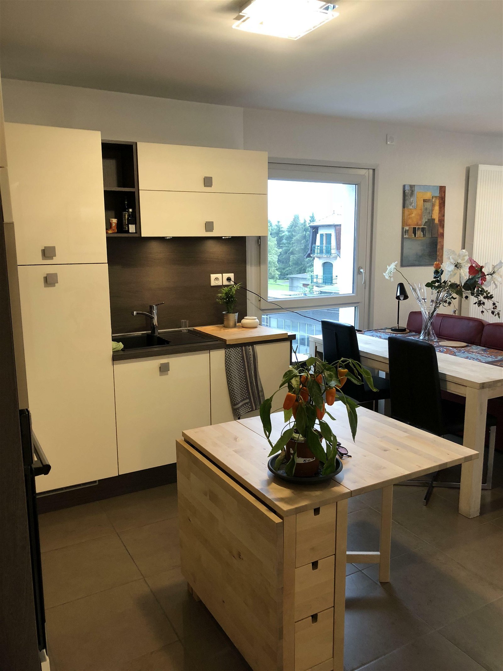 Oberoende Studio Saint-Julien-en-Genevois 204474