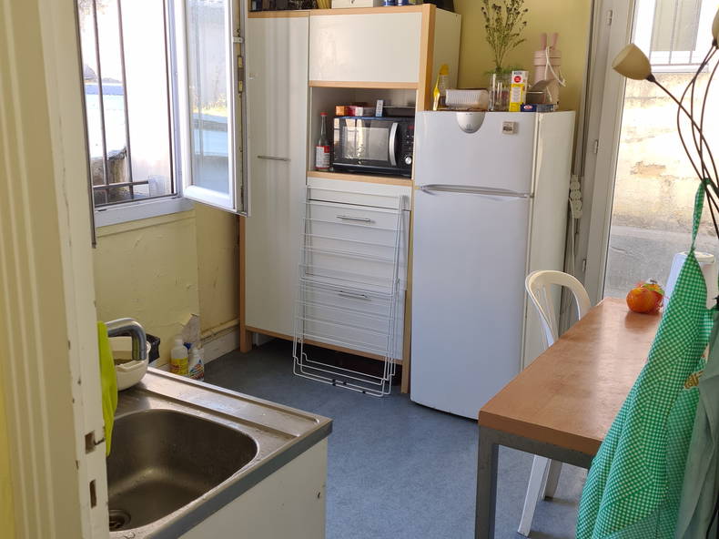 Kolokasie Bordeaux 248485-4