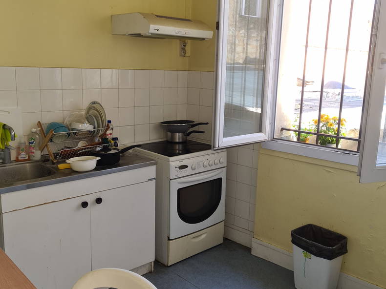 Kolokasie Bordeaux 248485-5