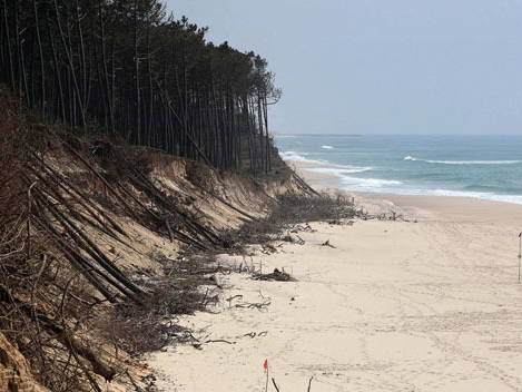 Ganzes Haus Esmoriz 102979-1