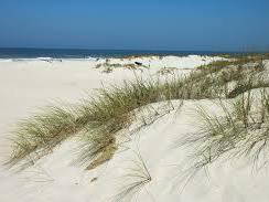 Logement Entier Esmoriz 102979-9