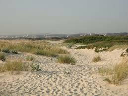 Logement Entier Esmoriz 102979-10