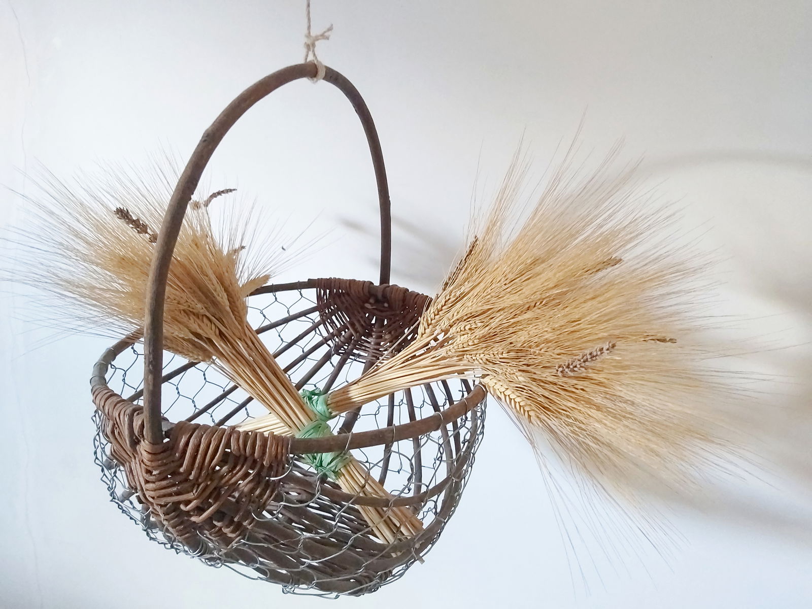 Unabhängiges Studio Lagarde 265441