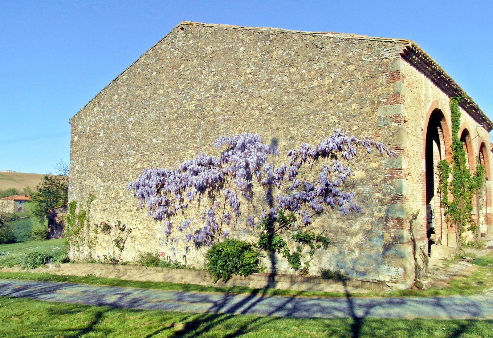 Unabhängiges Studio Lagarde 265441